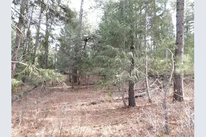 8139 Bannock Drive, Larkspur, CO 80118 - Photo 39