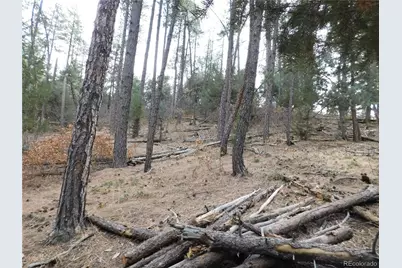 8139 Bannock Drive, Larkspur, CO 80118 - Photo 15