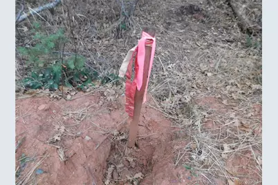 8139 Bannock Drive, Larkspur, CO 80118 - Photo 47