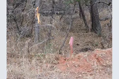 8139 Bannock Drive, Larkspur, CO 80118 - Photo 11