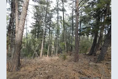 8139 Bannock Drive, Larkspur, CO 80118 - Photo 23