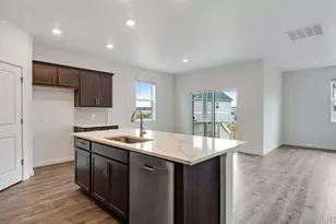 14234 Beebalm Ave, Parker, CO 80134 - Photo 5