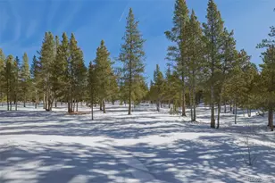 560 Alpine Cirque, Leadville, CO 80461 - Photo 33