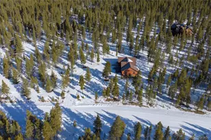 560 Alpine Cirque, Leadville, CO 80461 - Photo 37