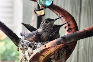 10372 W Florida Ave, Lakewood, CO 80232 - Photo 37