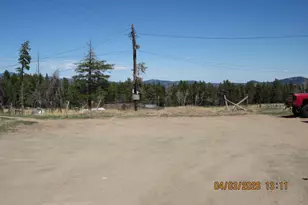 31511 Shadow Mountain Dr, Conifer, CO 80433 - Photo 5