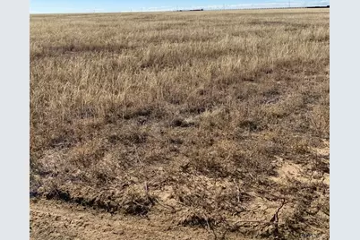 None, Rush, CO 80833 - Photo 3