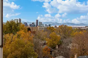 1313 Steele St, Denver, CO 80206 - Photo 17