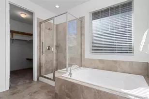 8741 Ginkgo Loop, Parker, CO 80134 - Photo 21