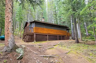 872 Hefferman Gulch Rd, Idaho Springs, CO 80452 - Photo 23