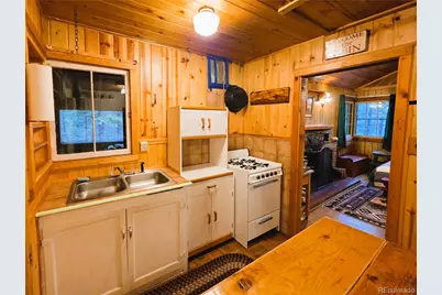 872 Hefferman Gulch Road, Idaho Springs, CO 80452 - Photo 11