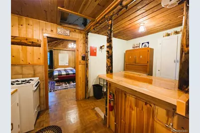872 Hefferman Gulch Road, Idaho Springs, CO 80452 - Photo 15