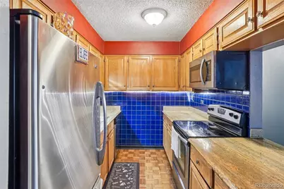 1313 N Williams Street #405, Denver, CO 80218 - Photo 9