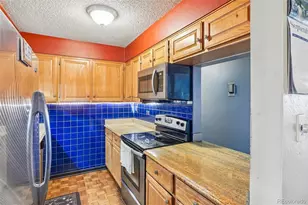 1313 N Williams St, Denver, CO 80218 - Photo 11