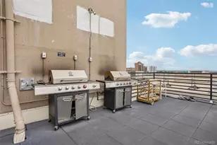 1313 N Williams St, Denver, CO 80218 - Photo 37