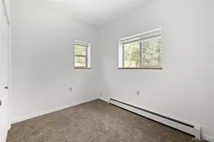 88 Cedar Ln, Bailey, CO 80421 - Photo 23