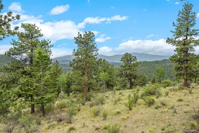 88 Cedar Lane, Bailey, CO 80421 - Photo 35