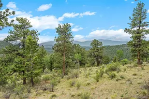 88 Cedar Ln, Bailey, CO 80421 - Photo 35