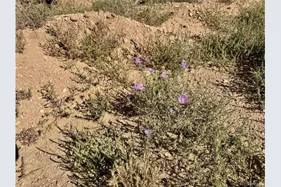 Lot 3817 Fontaine Road, Fort Garland, CO 81133 - Photo 11