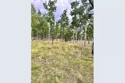 531 Aspen Way Drive, Florissant, CO 80816 - Photo 25