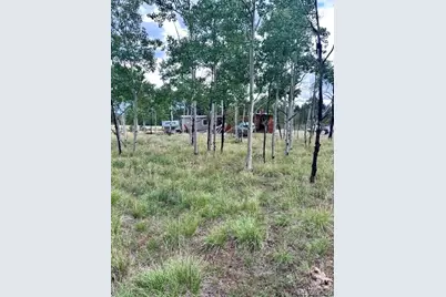 531 Aspen Way Drive, Florissant, CO 80816 - Photo 17
