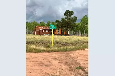 531 Aspen Way Drive, Florissant, CO 80816 - Photo 29