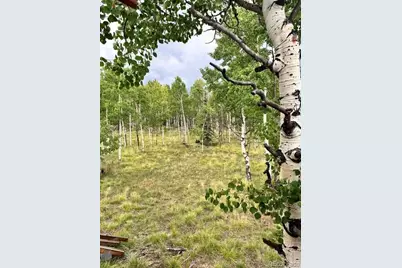 531 Aspen Way Drive, Florissant, CO 80816 - Photo 9