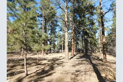 5845 S Pike Drive, Larkspur, CO 80118 - Photo 11