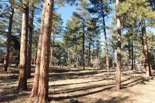 5845 S Pike Dr, Larkspur, CO 80118 - Photo 1