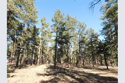 5845 S Pike Drive, Larkspur, CO 80118 - Photo 9