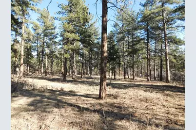 5845 S Pike Drive, Larkspur, CO 80118 - Photo 13