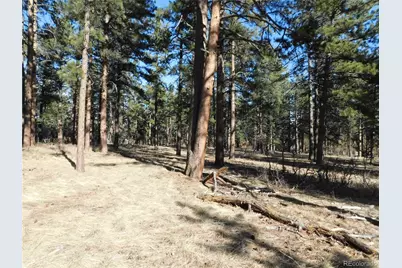 5845 S Pike Drive, Larkspur, CO 80118 - Photo 15