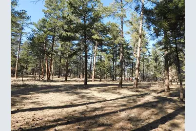 5845 S Pike Drive, Larkspur, CO 80118 - Photo 5