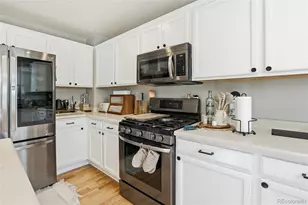 3248 Fernleaf Ct, Castle Rock, CO 80109 - Photo 9