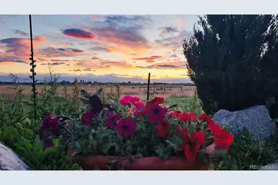 2832 County Road 20, Longmont, CO 80504 - Photo 19