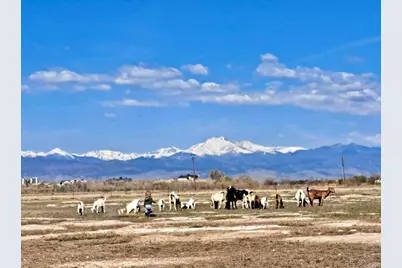 2832 County Road 20, Longmont, CO 80504 - Photo 21