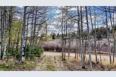 128 Brook Drive, Lake George, CO 80827 - Photo 13