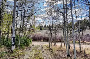 128 Brook Dr, Lake George, CO 80827 - Photo 13