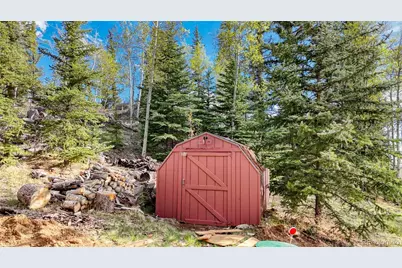 128 Brook Drive, Lake George, CO 80827 - Photo 3