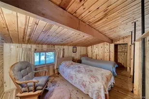 128 Brook Dr, Lake George, CO 80827 - Photo 39