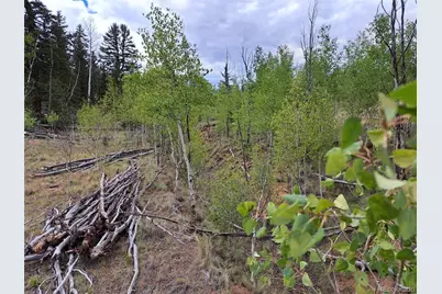6206 Remington Road, Como, CO 80432 - Photo 25