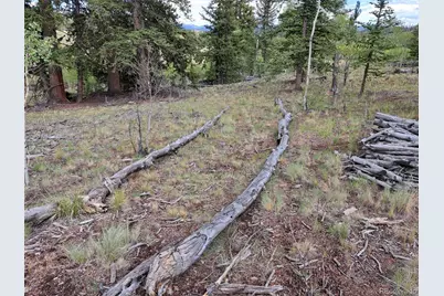 6206 Remington Road, Como, CO 80432 - Photo 19