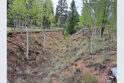 6206 Remington Road, Como, CO 80432 - Photo 5