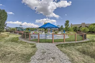 1105 Melting Snow Way, Castle Rock, CO 80109 - Photo 49