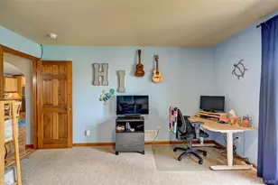 730 Lariat Loop, Hartsel, CO 80449 - Photo 39