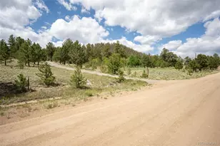 730 Lariat Loop, Hartsel, CO 80449 - Photo 41