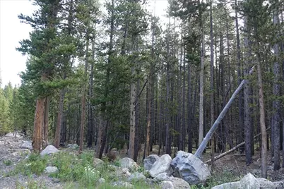 00 Upper Forest Rd, Idaho Springs, CO 80452 - Photo 17