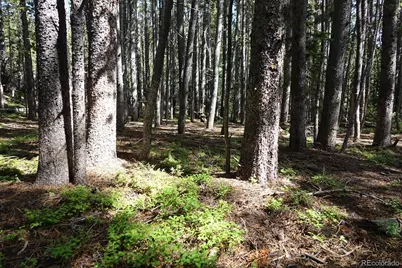 00 Upper Forest Rd, Idaho Springs, CO 80452 - Photo 11