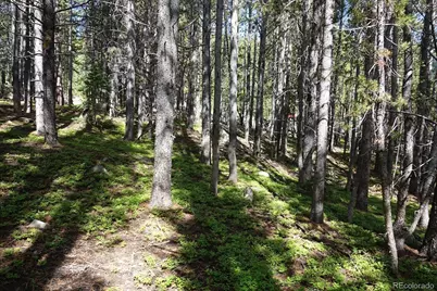 00 Upper Forest Rd, Idaho Springs, CO 80452 - Photo 15