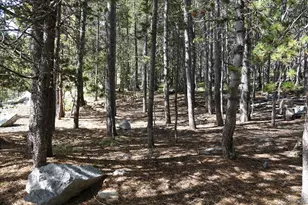 00 Upper Forest Rd, Idaho Springs, CO 80452 - Photo 1
